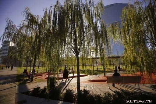 Milan s Ambitious Green Initiative: Planting Trees for a Cleaner Future