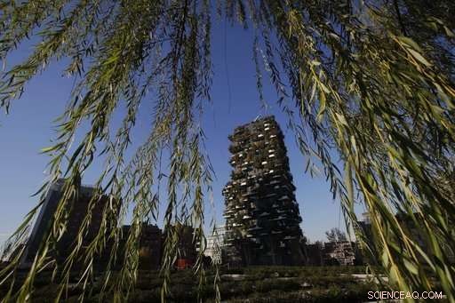 Milan s Ambitious Green Initiative: Planting Trees for a Cleaner Future