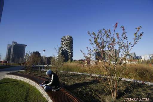 Milan s Ambitious Green Initiative: Planting Trees for a Cleaner Future