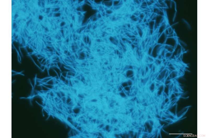 Deep Earth Carbon Reservoirs Exceed Human Emissions by Hundreds of Times—15–23 Billion Tons