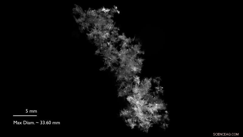 The Largest Snowflakes: How Big Can They Really Grow?