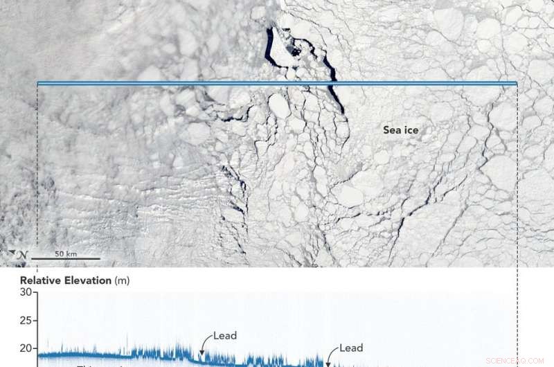 ICESat‑2 unveils detailed profiles of ice sheets, sea ice, and forests