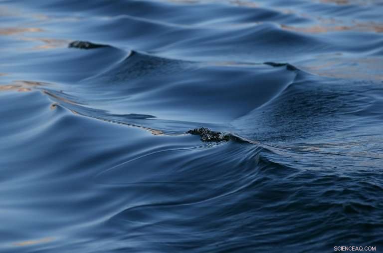 Trump Administration Unveils Plan to Roll Back Clean Water Protections