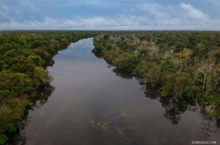 Amazon Faces Epidemic of Illegal Gold Mining: A Growing Environmental Crisis