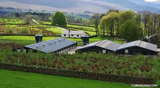 Strategic Tree Planting: A Proven Solution to Reduce Ammonia Emissions in Agriculture