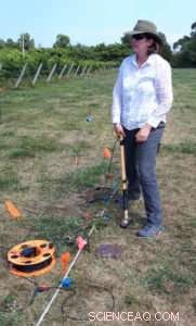 Geology & Grapes: How Pelee Island’s Terrain Boosts Wine Quality