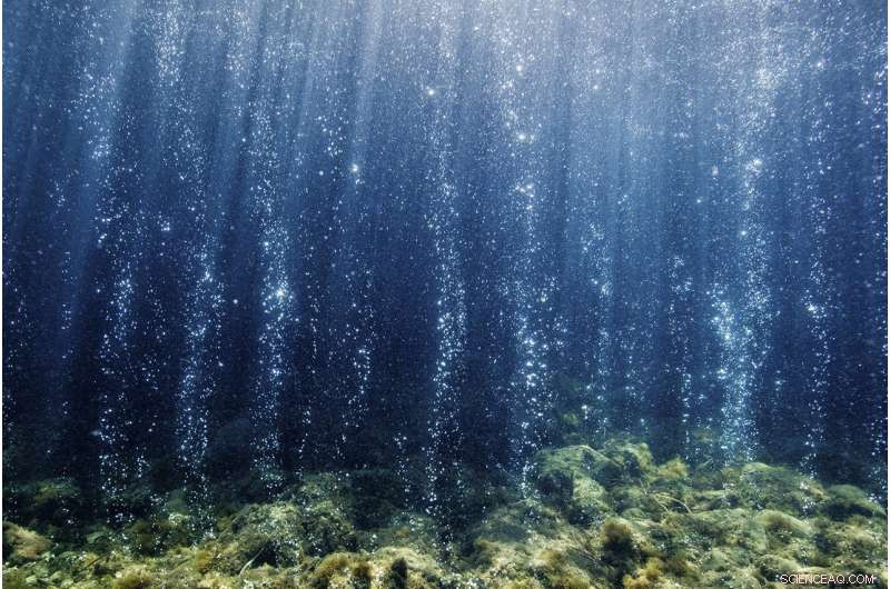 Future Oceans Revealed: Volcanic CO₂ Seepage Near Ischia, Italy