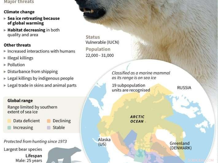 Arctic Warming Drives Wide-Scale Environmental Change, New Study Shows