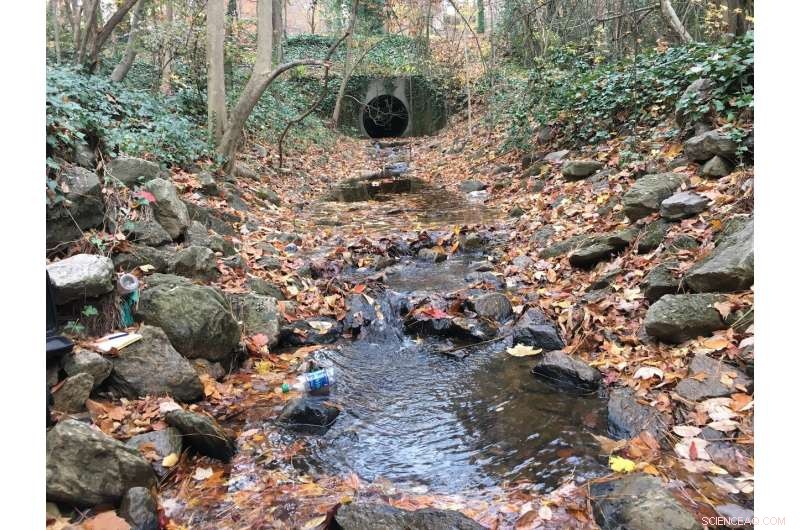 Urban Streams Face Hypoxic Dead Zones: New Study Reveals Alarming Oxygen Depletion