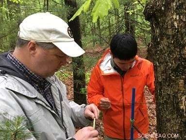 Breakthrough Study Enhances Accessibility of 52 Million Tree‑Ring Records for Scientific Research
