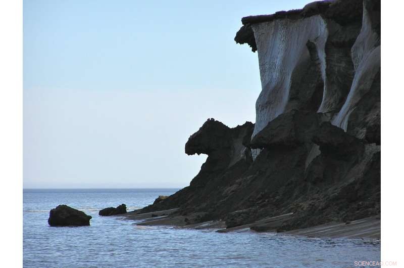 Arctic Permafrost: Unveiling a Sleeping Giant of Global Carbon Emissions