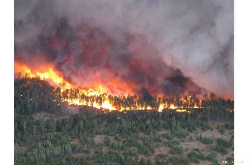 Impact of Fires on Soil Moisture and Runoff Dynamics