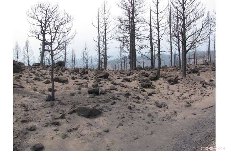 Impact of Fires on Soil Moisture and Runoff Dynamics