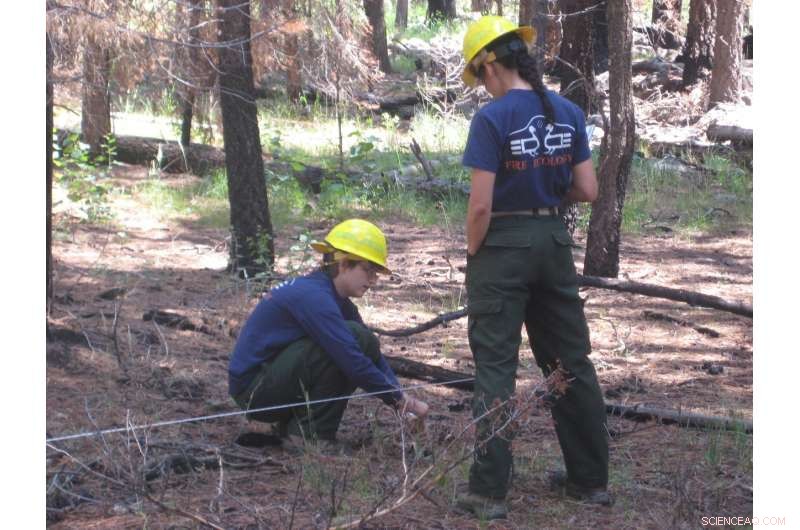 Impact of Fires on Soil Moisture and Runoff Dynamics