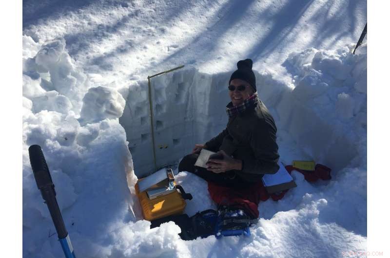 Declining Snowpack in the Western US Revealed by Fine‑Scale Mapping