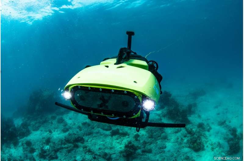 First Underwater Robot Delivers Baby Corals to Rejuvenate the Great Barrier Reef