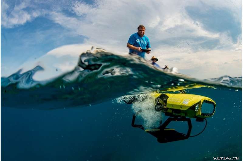 First Underwater Robot Delivers Baby Corals to Rejuvenate the Great Barrier Reef