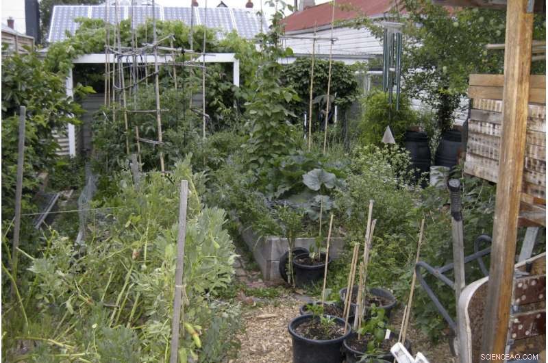 Suburbs: From Overconsumption to Sustainable Futures