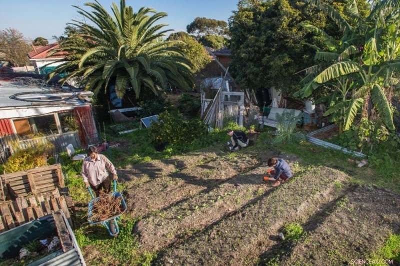 Suburbs: From Overconsumption to Sustainable Futures