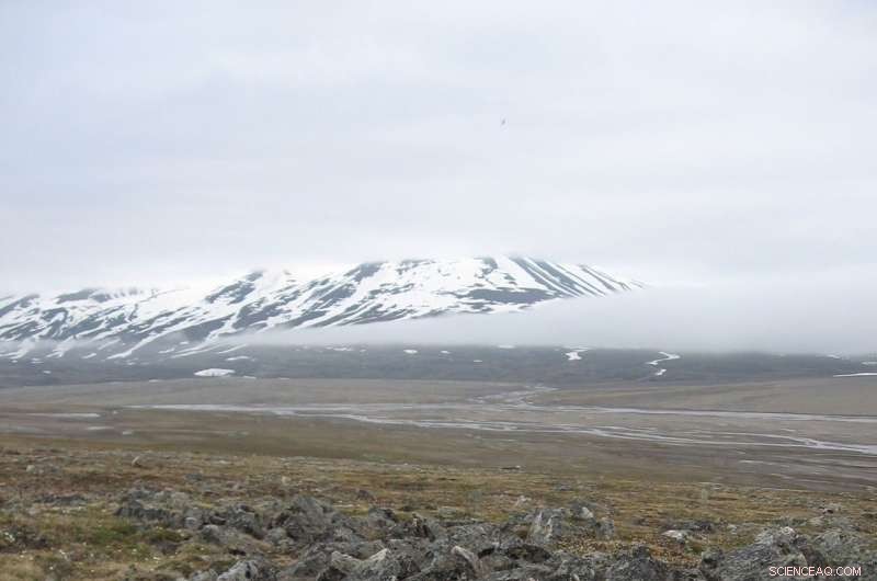 Rising Winter Temperatures Increase Rainfall in Svalbard Archipelago