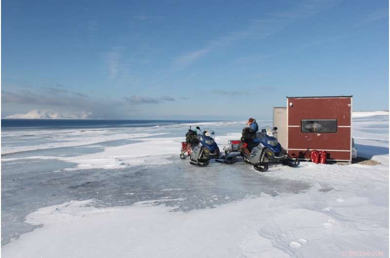 Rising Winter Temperatures Increase Rainfall in Svalbard Archipelago