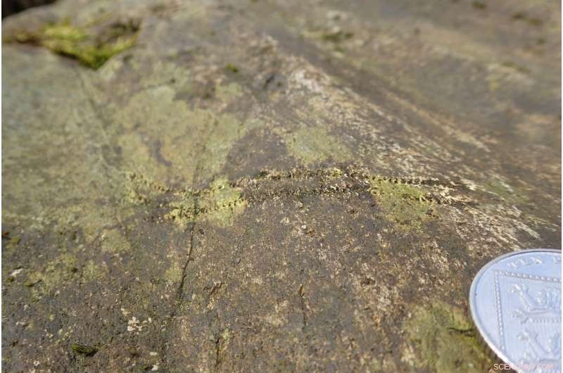Shoreline Tracks Reveal the Dawn of Terrestrial Life