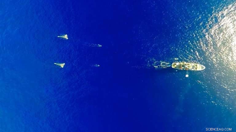 Global Plastic Crisis Sparks International Battle Against Marine Pollution