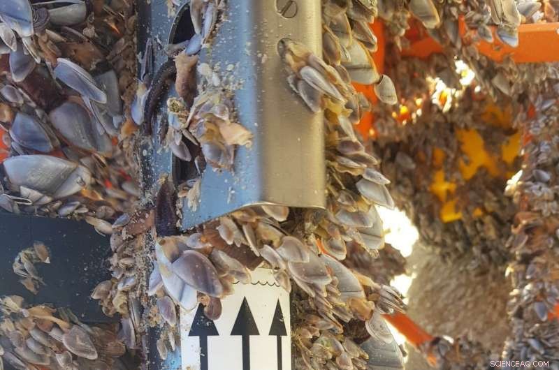 Recovered: Missing Ocean Monitoring Instrument Found After Five Years at Sea