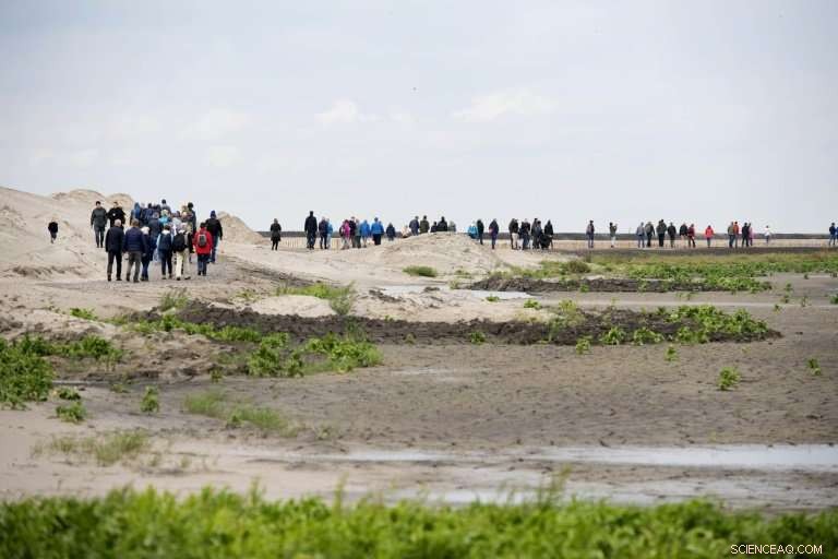 Netherlands Builds Artificial Islands to Restore Wildlife