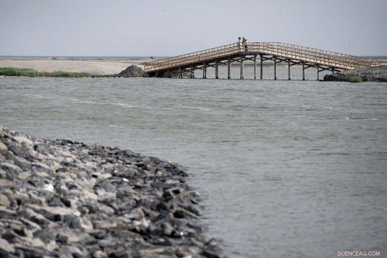 Netherlands Builds Artificial Islands to Restore Wildlife