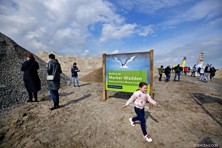 Netherlands Builds Artificial Islands to Restore Wildlife