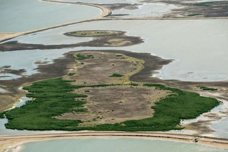 Netherlands Builds Artificial Islands to Restore Wildlife