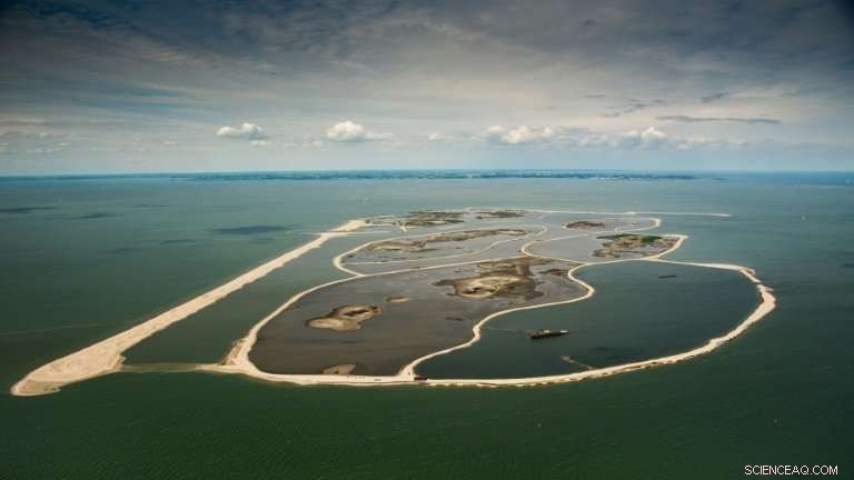 Netherlands Builds Artificial Islands to Restore Wildlife