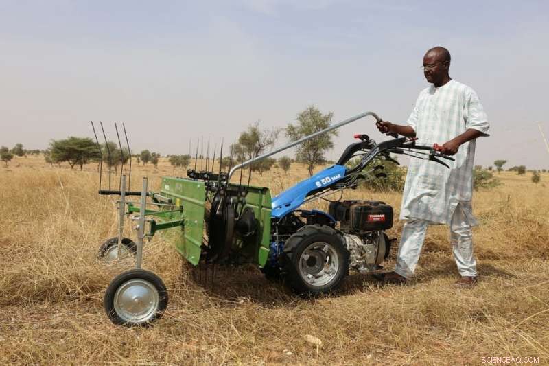 Africa s Medium-Scale Farms: Rising Trends and Their Positive Impact