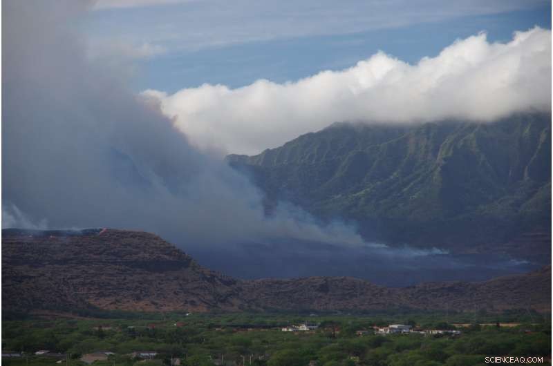 Climate Change and Vegetation: Key Drivers of Wildfire Risk in Hawaii