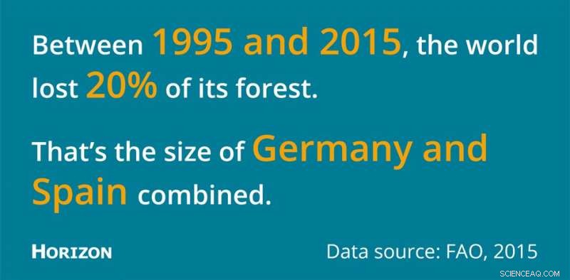 Drones & Satellite Imaging Turn Forest Conservation into Monetizable Climate Credit