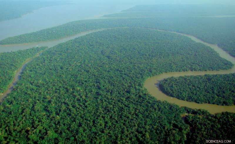 Drones & Satellite Imaging Turn Forest Conservation into Monetizable Climate Credit