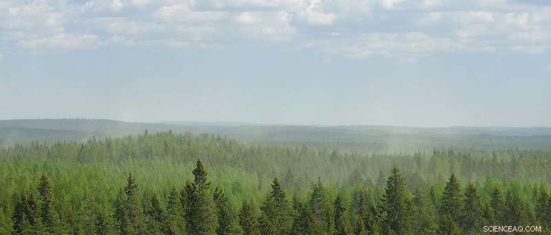 Air Pollution Alters the Formation of Biogenic Aerosols, Impacting Climate and Air Quality