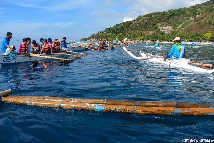 Assessing the Impact of Whale Shark Mass Tourism on Philippine Coral Reefs