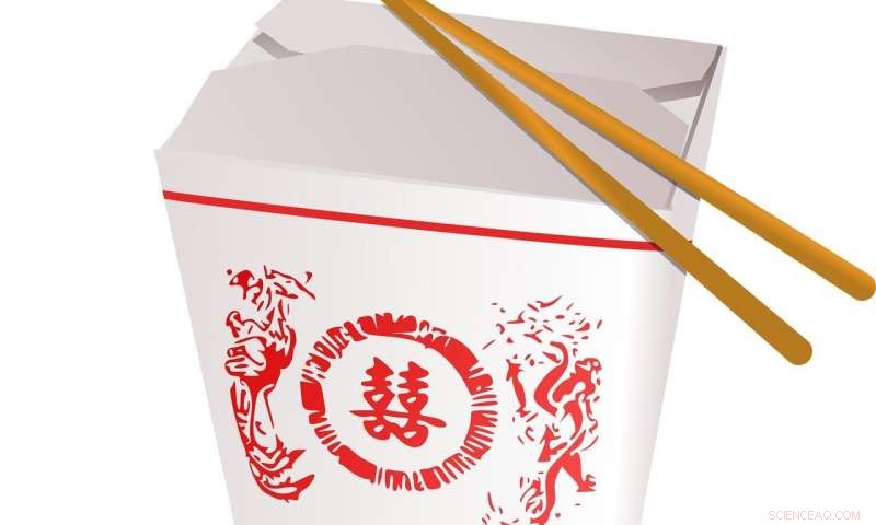 Takeaway Containers: The Hidden Environmental Toll of Fast‑Food Packaging