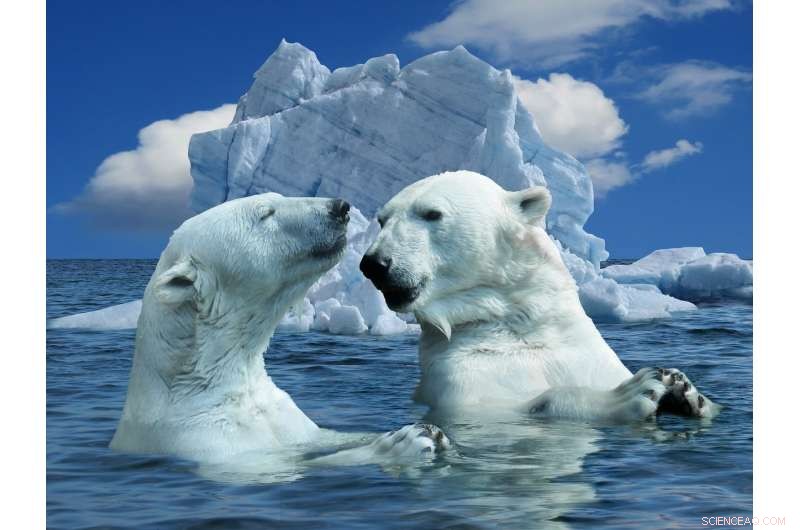 Paris Agreement Rulebook Unveiled: Global Climate Action Still Falls Short