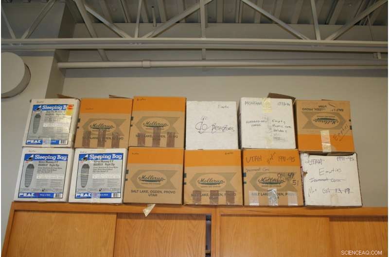 Projected Slower Growth of Southwest US Forest Trees in the 21st Century