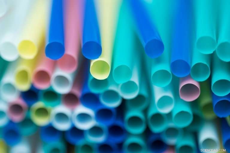 EU Approves Comprehensive Ban on Single‑Use Plastics—Plates, Cutlery, Straws