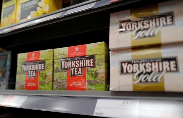 Britain s Brewing Debate: Eco-Friendly Tea Bags Spark Consumer Backlash