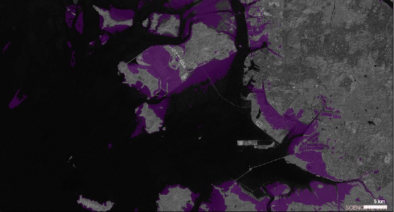 Intertidal Ecosystem Decline: A Growing Threat to Coastal Communities