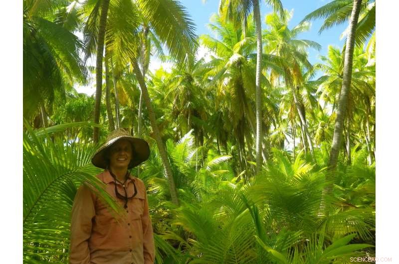 Satellite Imaging Offers Affordable Detection of Invasive Coconuts