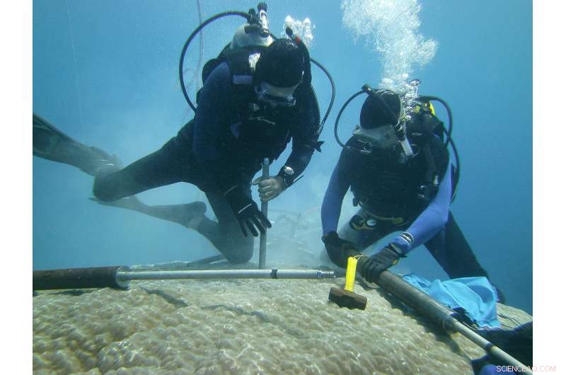 El Niño Explained: A Comprehensive History and Tracking Guide