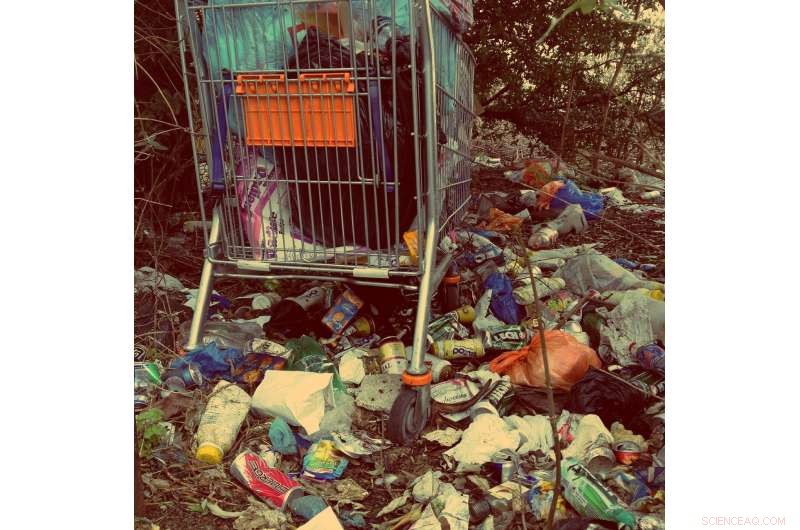 Study Reveals Plastic Waste Breaks Down into Nanoparticles, Highlighting Environmental Risks