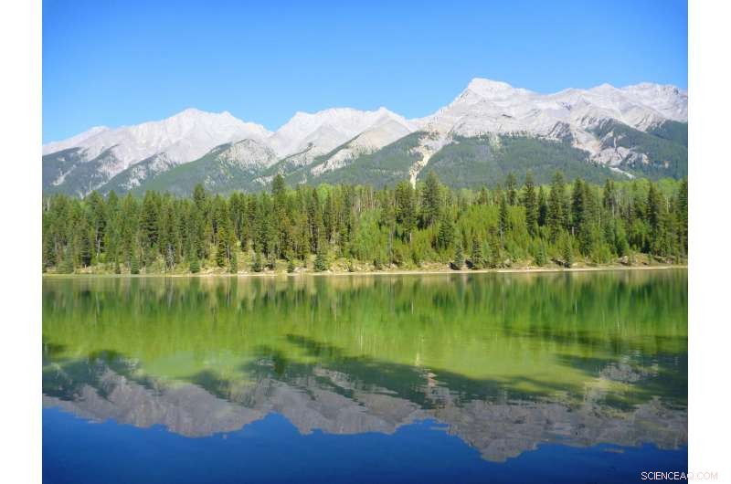 Assessing Alpine Lake Health via Zooplankton Indicators