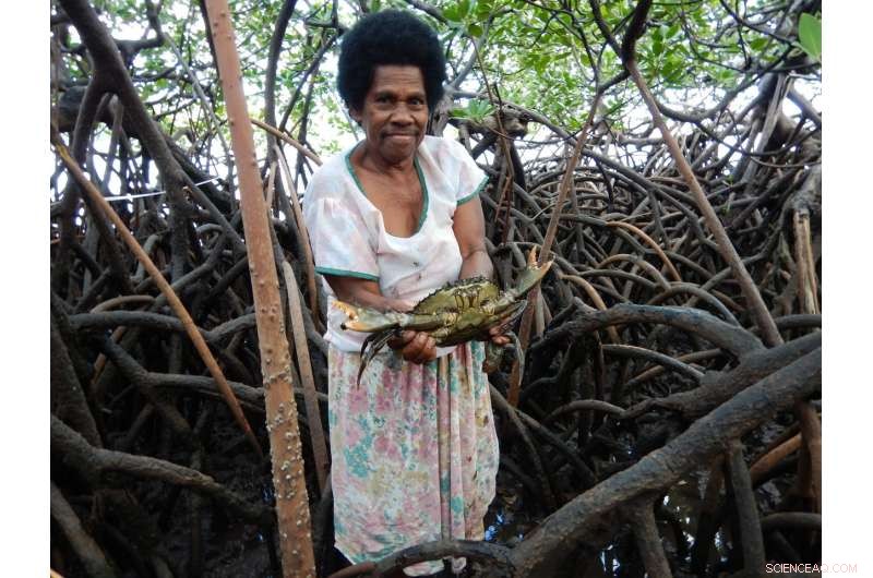 WCS Study Reveals Cyclone Winston Severely Damaged Fiji’s Fisheries and Homes